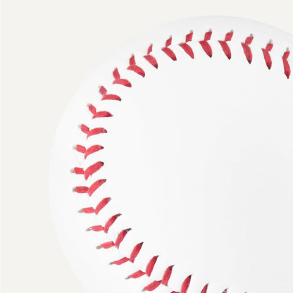 Bucket of Practice Baseballs, 24 Count